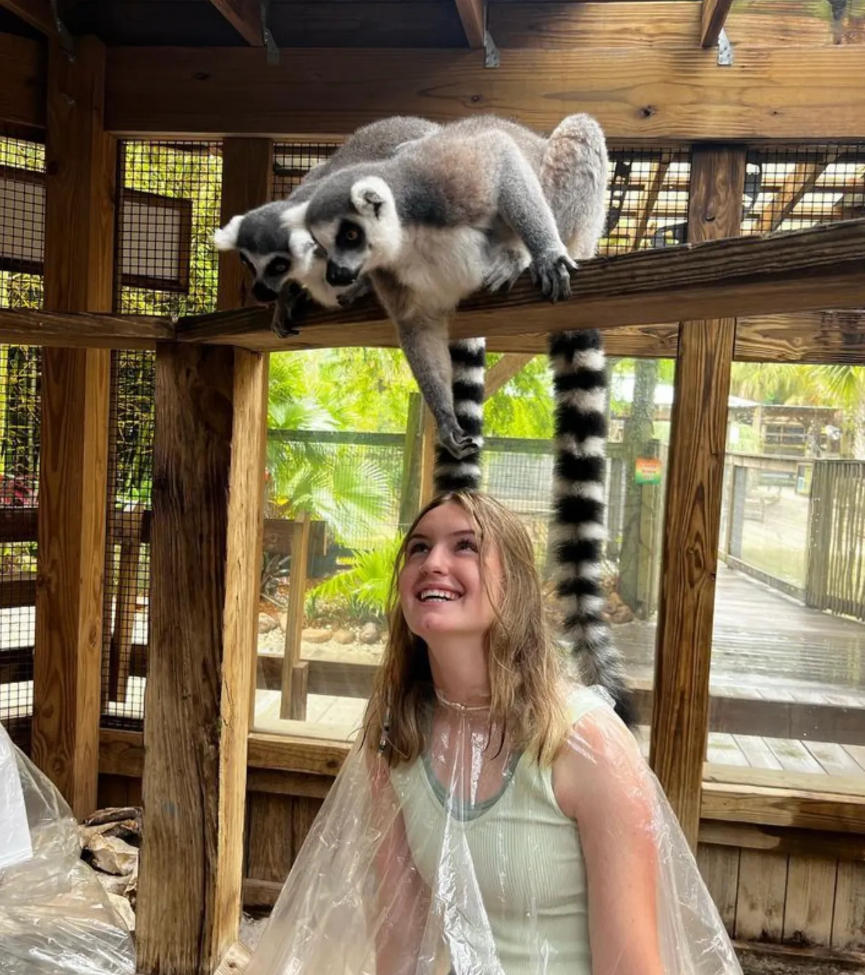 Wild Florida Adventure Park: Drive-thru Safari, Airboats